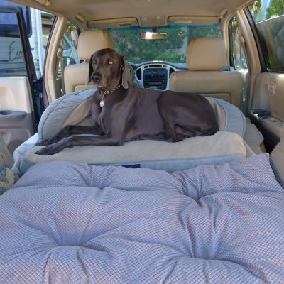 Ace Car Bed